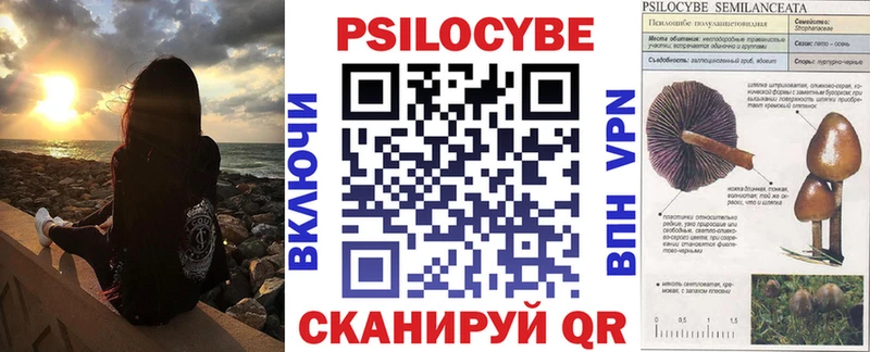 Псилоцибиновые грибы Cubensis  Данков 
